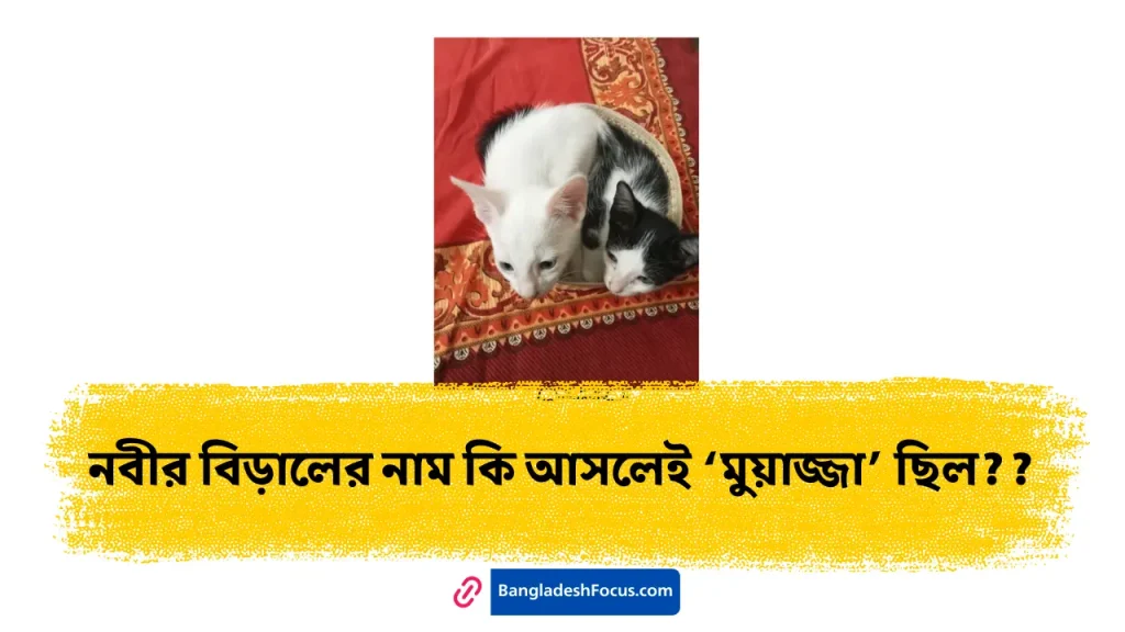 নবীর বিড়ালের নাম মুয়াজ্জা