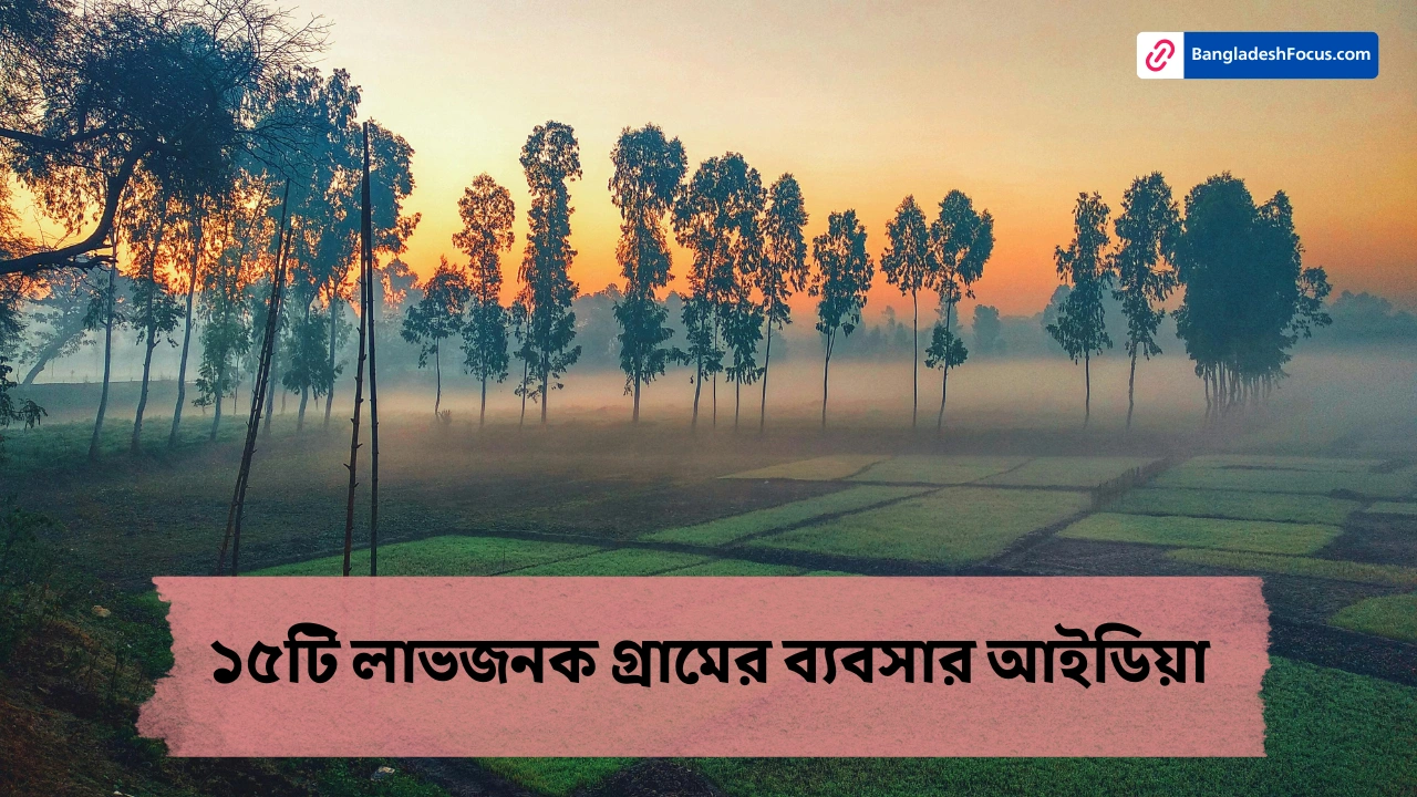 ১৫টি লাভজনক গ্রামের ব্যবসার আইডিয়া